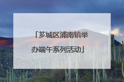 芗城区浦南镇举办端午系列活动