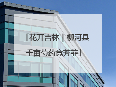 花开吉林｜柳河县千亩芍药竞芳菲