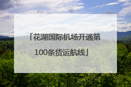 花湖国际机场开通第100条货运航线