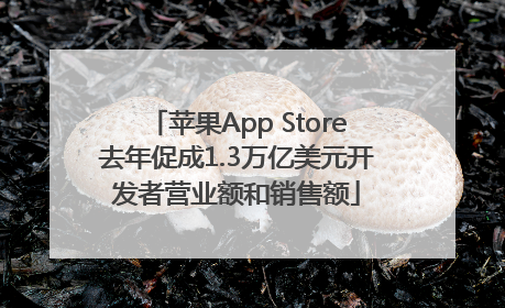 苹果App Store去年促成1.3万亿美元开发者营业额和销售额
