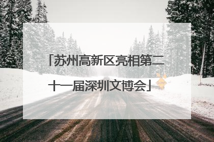 苏州高新区亮相第二十一届深圳文博会