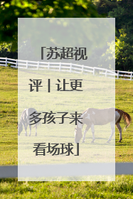 苏超视评︱让更多孩子来看场球