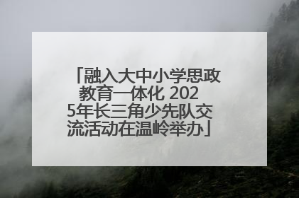 融入大中小学思政教育一体化 2025年长三角少先队交流活动在温岭举办