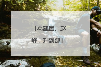 葛建团、赵峰，升副部