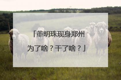 董明珠现身郑州 为了啥？干了啥？