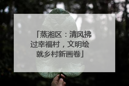 蒸湘区：清风拂过幸福村，文明绘就乡村新画卷