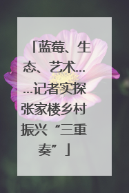 蓝莓、生态、艺术……记者实探张家楼乡村振兴“三重奏”