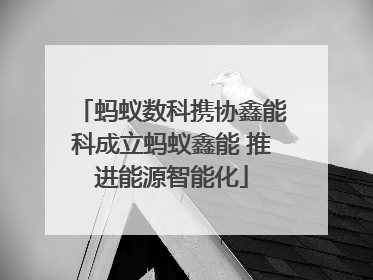 蚂蚁数科携协鑫能科成立蚂蚁鑫能 推进能源智能化