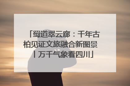 蜀道翠云廊：千年古柏见证文旅融合新图景丨万千气象看四川