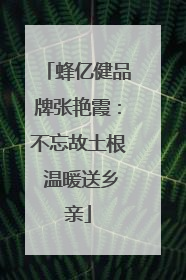 蜂亿健品牌张艳霞：不忘故土根 温暖送乡亲