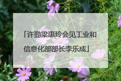 许勤梁惠玲会见工业和信息化部部长李乐成