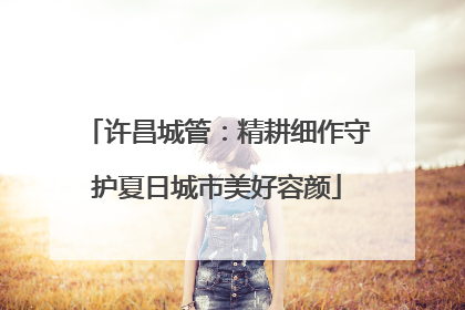 许昌城管：精耕细作守护夏日城市美好容颜