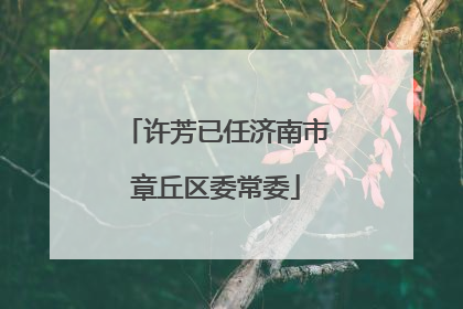 许芳已任济南市章丘区委常委