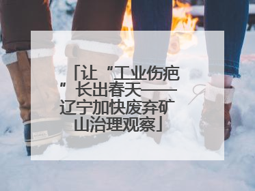 让“工业伤疤”长出春天——辽宁加快废弃矿山治理观察