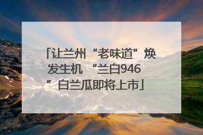 让兰州“老味道”焕发生机 “兰白946”白兰瓜即将上市