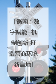 衡南：数字赋能+机制创新 打造营商环境新高地