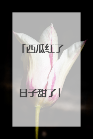 西瓜红了 日子甜了