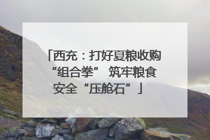 西充：打好夏粮收购“组合拳” 筑牢粮食安全“压舱石”