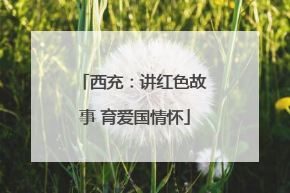 西充：讲红色故事 育爱国情怀