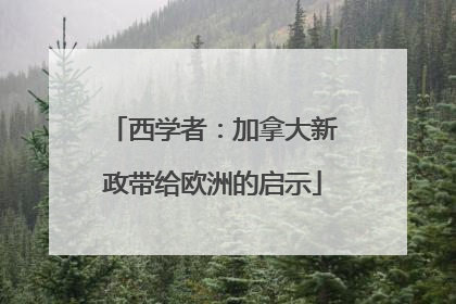 西学者：加拿大新政带给欧洲的启示