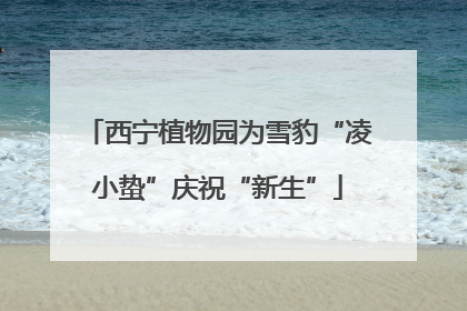 西宁植物园为雪豹“凌小蛰”庆祝“新生”