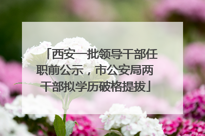 西安一批领导干部任职前公示，市公安局两干部拟学历破格提拔