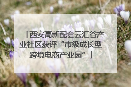 西安高新配套云汇谷产业社区获评“市级成长型跨境电商产业园”