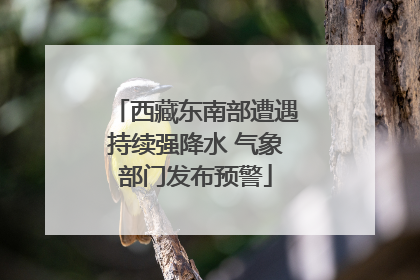 西藏东南部遭遇持续强降水 气象部门发布预警