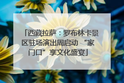 西藏拉萨：罗布林卡景区驻场演出周启动 “家门口”享文化盛宴