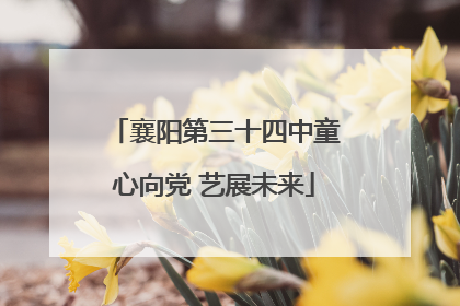 襄阳第三十四中童心向党 艺展未来