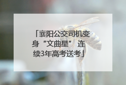 襄阳公交司机变身“文曲星” 连续3年高考送考