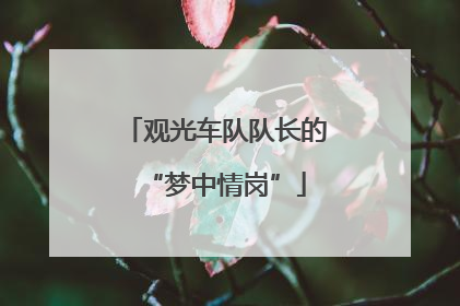 观光车队队长的“梦中情岗”