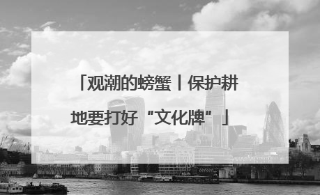 观潮的螃蟹丨保护耕地要打好“文化牌”