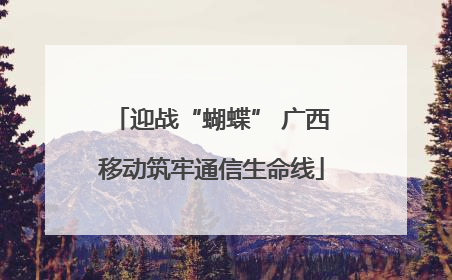 迎战“蝴蝶” 广西移动筑牢通信生命线
