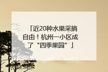 近20种水果采摘自由！杭州一小区成了“四季果园”