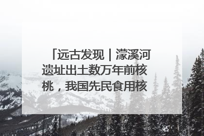远古发现｜濛溪河遗址出土数万年前核桃，我国先民食用核桃历史大幅提前