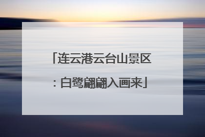 连云港云台山景区：白鹭翩翩入画来