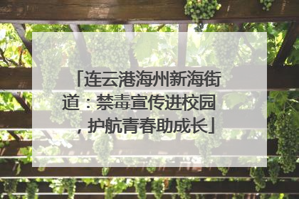 连云港海州新海街道：禁毒宣传进校园，护航青春助成长