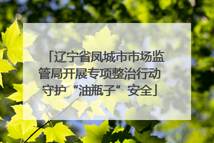 辽宁省凤城市市场监管局开展专项整治行动守护“油瓶子”安全