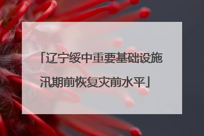 辽宁绥中重要基础设施汛期前恢复灾前水平