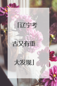 辽宁考古又有重大发现