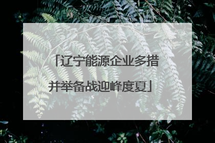 辽宁能源企业多措并举备战迎峰度夏