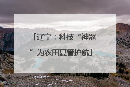 辽宁：科技“神器”为农田夏管护航