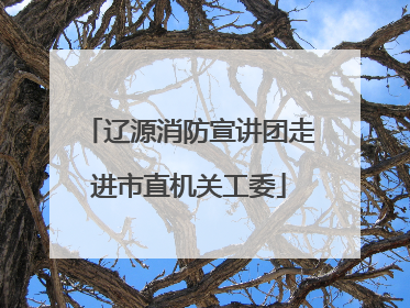 辽源消防宣讲团走进市直机关工委