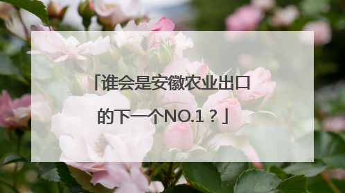 谁会是安徽农业出口的下一个NO.1？