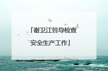 谢卫江督导检查安全生产工作