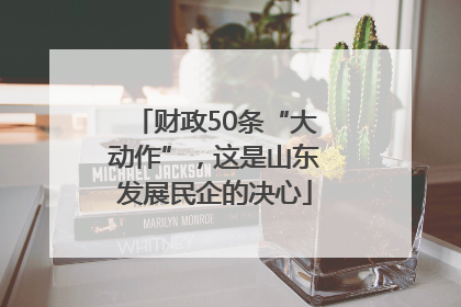 财政50条“大动作”，这是山东发展民企的决心