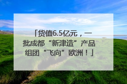 货值6.5亿元，一批成都“新津造”产品组团“飞向”欧洲！