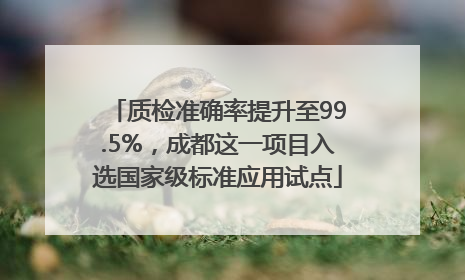 质检准确率提升至99.5%，成都这一项目入选国家级标准应用试点