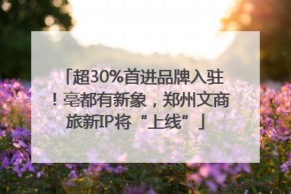 超30%首进品牌入驻！亳都有新象，郑州文商旅新IP将“上线”